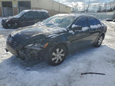 4T1BE46K49U****** 2009 Toyota Camry