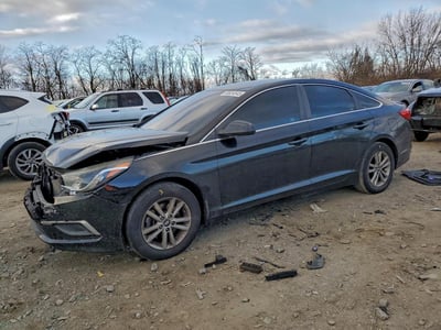 5NPE24AF8GH****** 2016 Hyundai Sonata