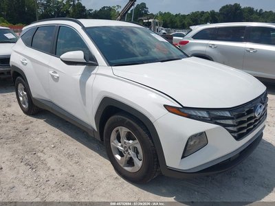 5NMJB3DEXRH****** 2024 Hyundai Tucson