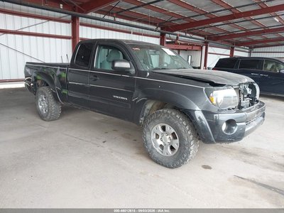 5TEUU42N99Z****** 2009 Toyota Tacoma