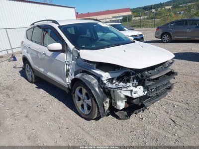 1FMCU9G91EU****** 2014 Ford Escape