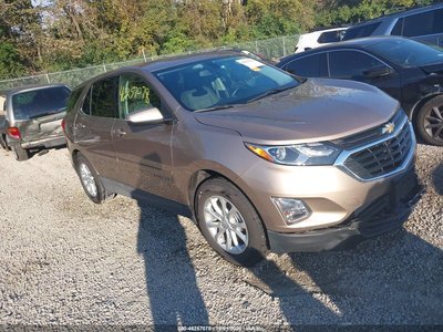 2GNAXKEV9K6****** 2019 Chevrolet Equinox