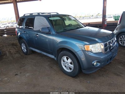 1FMCU0D77AK****** 2010 Ford Escape