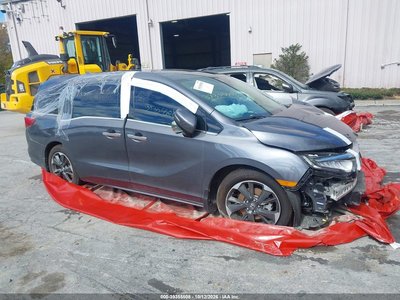 5FNRL6H94RB****** 2024 Honda Odyssey