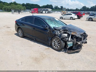 5NPE24AF8KH****** 2019 Hyundai Sonata