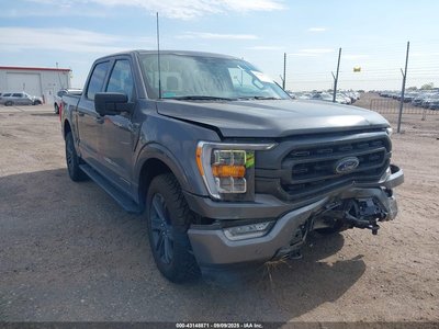 1FTFW1ED1PF****** 2023 Ford F-150