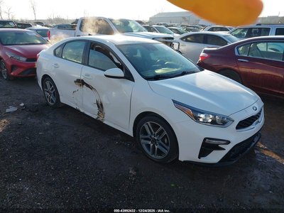 3KPF34AD6KE****** 2019 Kia Forte