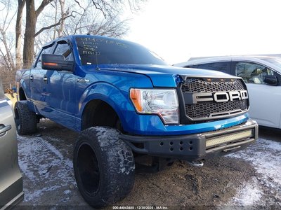 1FTRW14899F****** 2009 Ford F-150