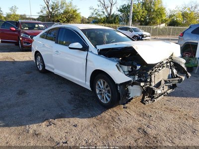 5NPE24AF4KH****** 2019 Hyundai Sonata