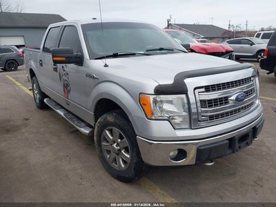 1FTFW1EF7DF****** 2013 Ford F-150