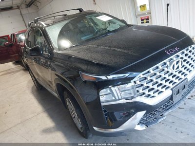 5NMS2DAJ1NH****** 2022 Hyundai Santa Fe