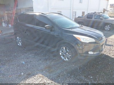 1FMCU0GXXEU****** 2014 Ford Escape
