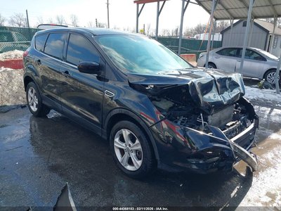 1FMCU9GX5EU****** 2014 Ford Escape