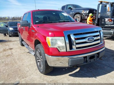2010 Ford F-150