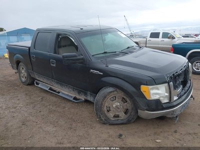 2010 Ford F-150
