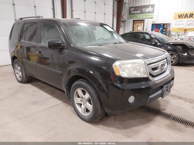 5FNYF48689B****** 2009 Honda Pilot