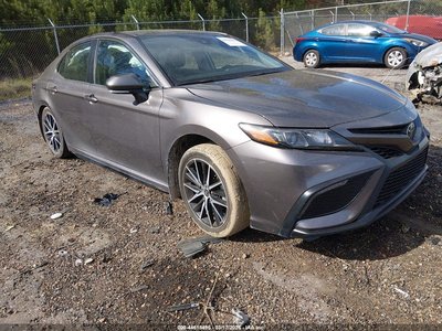4T1G11AKXRU****** 2024 Toyota Camry