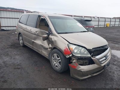 5FNRL38415B****** 2005 Honda Odyssey