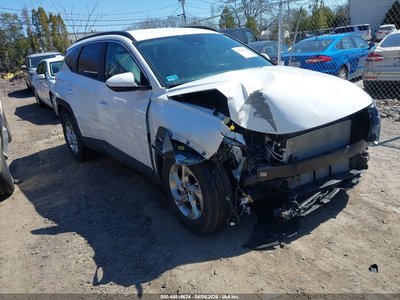 5NMJBCDE8RH****** 2024 Hyundai Tucson