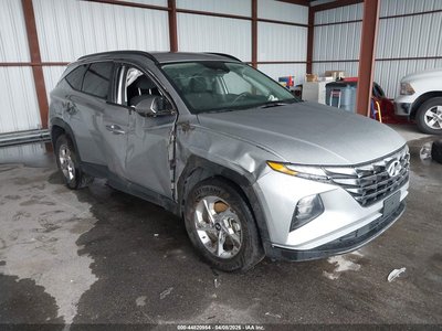 5NMJBCDE0RH****** 2024 Hyundai Tucson