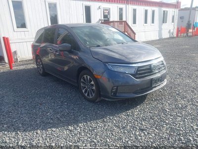 2024 Honda Odyssey