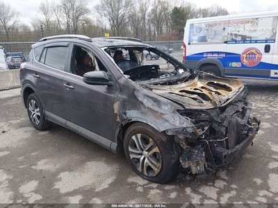 2T3BFREV5HW****** 2017 Toyota RAV4