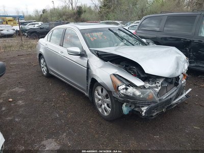 2010 Honda Accord
