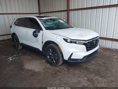 2HKRS4H7XTH****** 2026 Honda CR-V