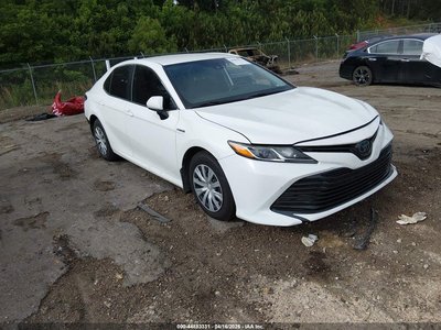 4T1C31AK5LU****** 2020 Toyota Camry Hybrid