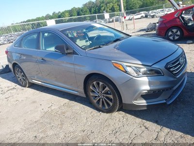 5NPE34AF0GH****** 2016 Hyundai Sonata