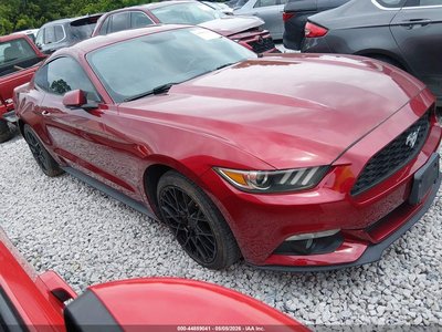 1FA6P8TH5F5****** 2015 Ford Mustang