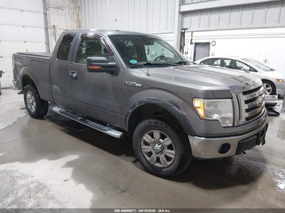 1FTPX14VX9F****** 2009 Ford F-150