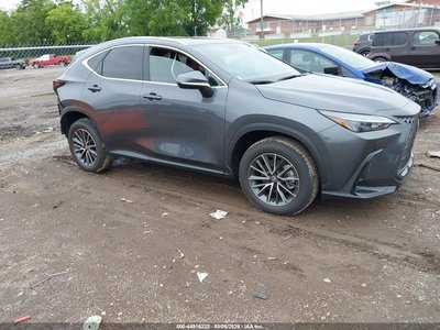 2026 Lexus NX