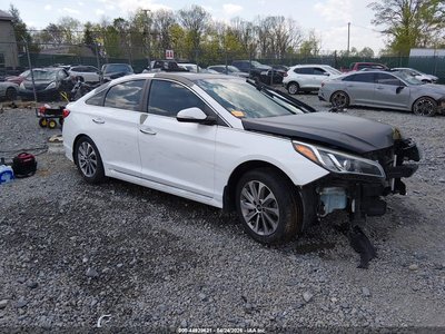 5NPE34AF8GH****** 2016 Hyundai Sonata