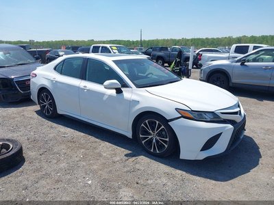4T1J31AK7LU****** 2020 Toyota Camry