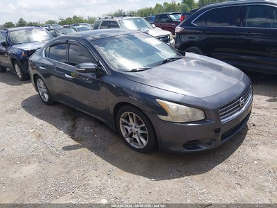 2010 Nissan Maxima