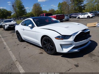 1FA6P8TH0K5****** 2019 Ford Mustang