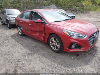 5NPE34AF0KH****** 2019 Hyundai Sonata