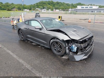 1FA6P8TH8M5****** 2021 Ford Mustang