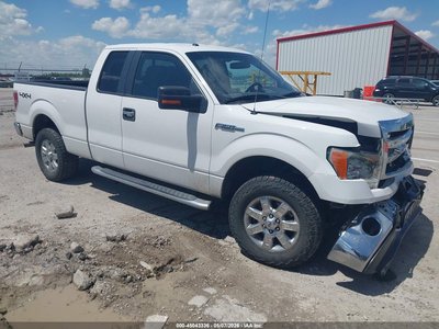1FTFX1EF1DF****** 2013 Ford F-150