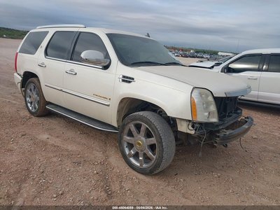1GYFC23299R****** 2009 Cadillac Escalade
