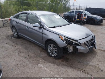 5NPE24AF7GH****** 2016 Hyundai Sonata