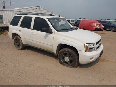 1GNDT13S982****** 2008 Chevrolet Trailblazer