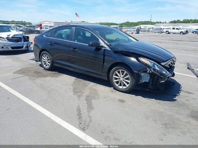 5NPE24AFXKH****** 2019 Hyundai Sonata