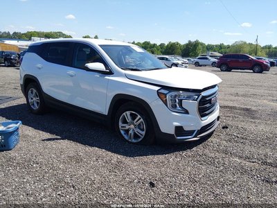3GKALMEG0RL****** 2024 GMC Terrain