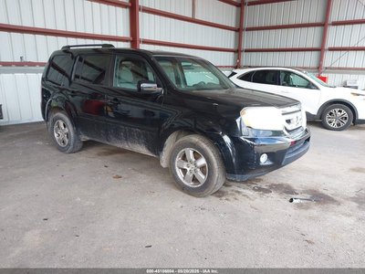 2011 Honda Pilot