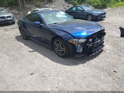 1FA6P8TH4K5****** 2019 Ford Mustang