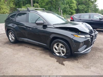 KM8JB3DEXRU****** 2024 Hyundai Tucson