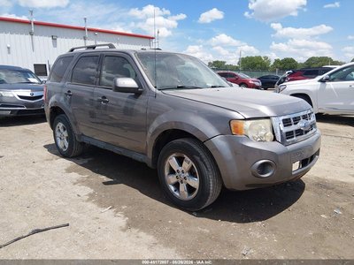 2010 Ford Escape