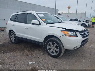 2009 Hyundai Santa Fe